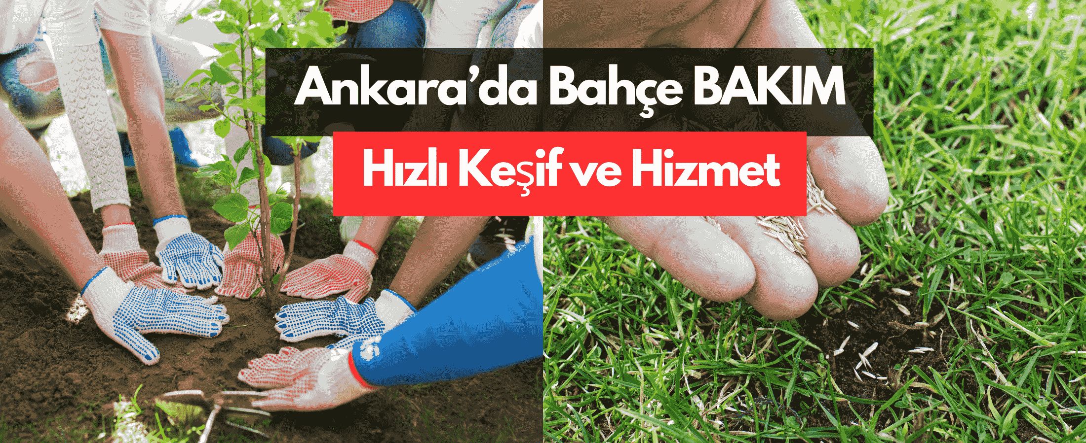 Ankara'da ÇİM EKİM HİZMETLERİ