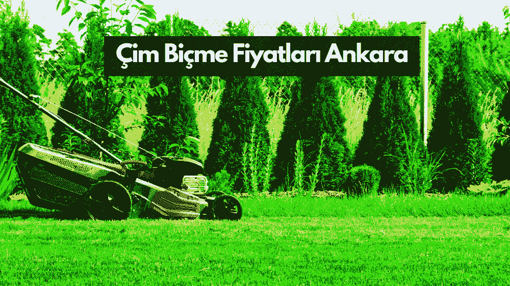 Ankara Çim Biçme Fiyatları: Metrekare başına 5 – 15 TL