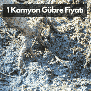 Ankara'da 1 Kamyon Hayvan Gübresi Fiyatı, 1.600 ₺ (NAKLİYE DAHİL FİYATIMIZ)