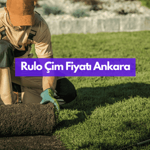 Ankara'da Rulo Çim Metrekare Fiyatı, 60 ₺ ile 90 ₺